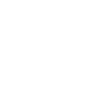 Soluções Personalizadas width
              45